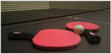 bordtennis